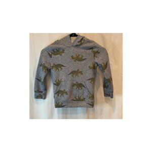 Boy Dinosaur Hoodie Sweater